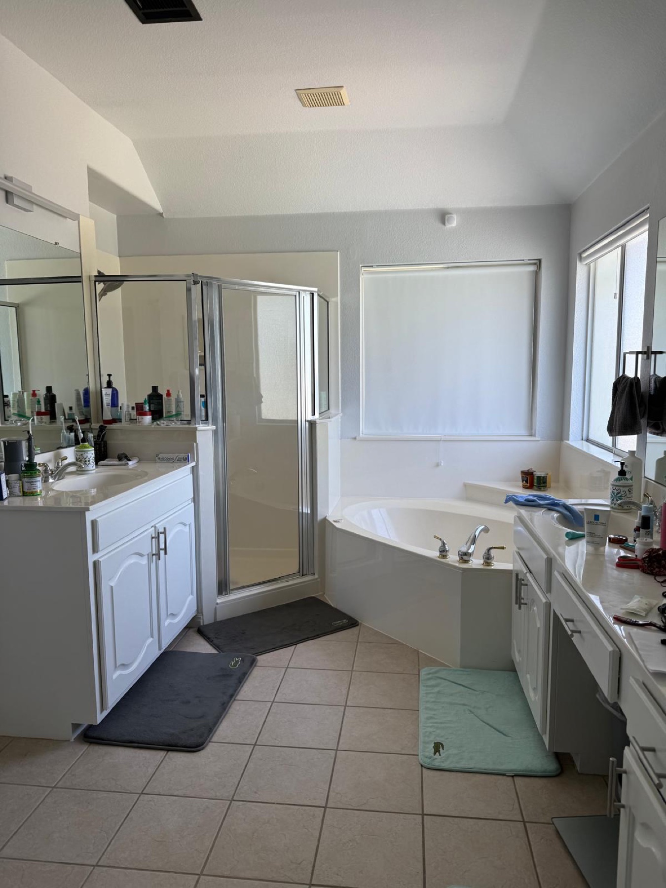 Primary bathroom before the remodel