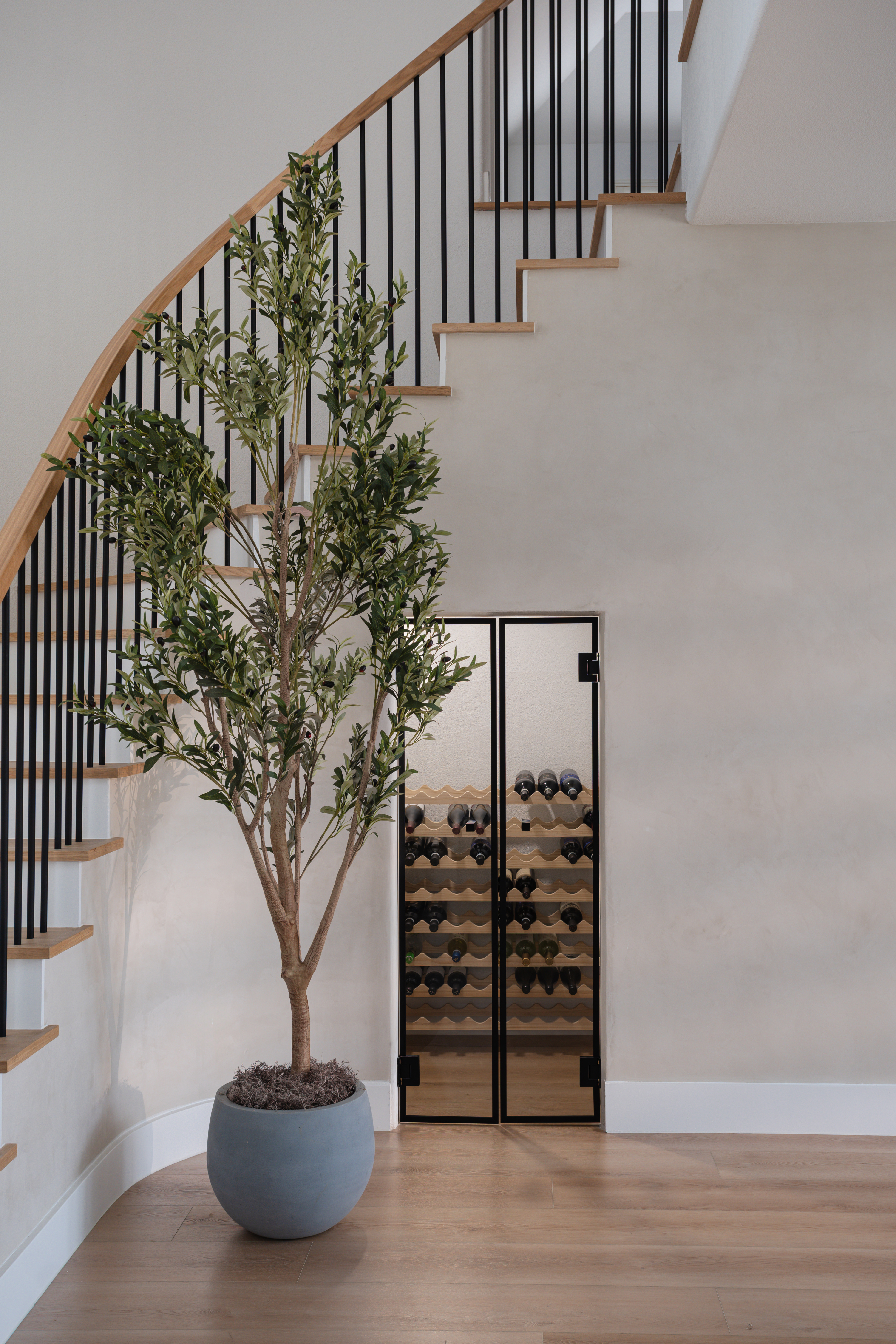 Olive tree beside staircase with glass wine cellar after the remodel